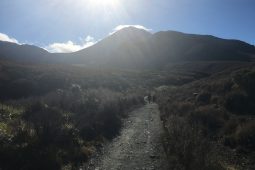 Tongariro Alpine Crossing: Du kannst nicht einfach nach Mordor spazieren!