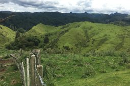 Die Nordinsel: raue, unberührte und unberechenbare Natur